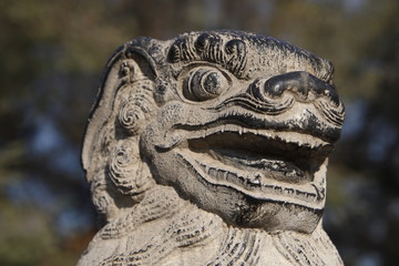 stone lion
