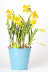 a bucket with easter daffodils and an easter decoration