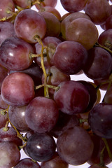 grapes