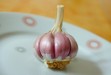 Knoblauch