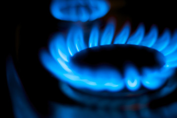 Blue Flames from a Natural Gas Stove Burner