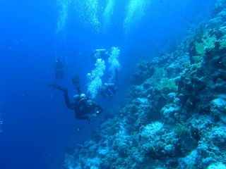 Fototapeta na wymiar Divers on the reef