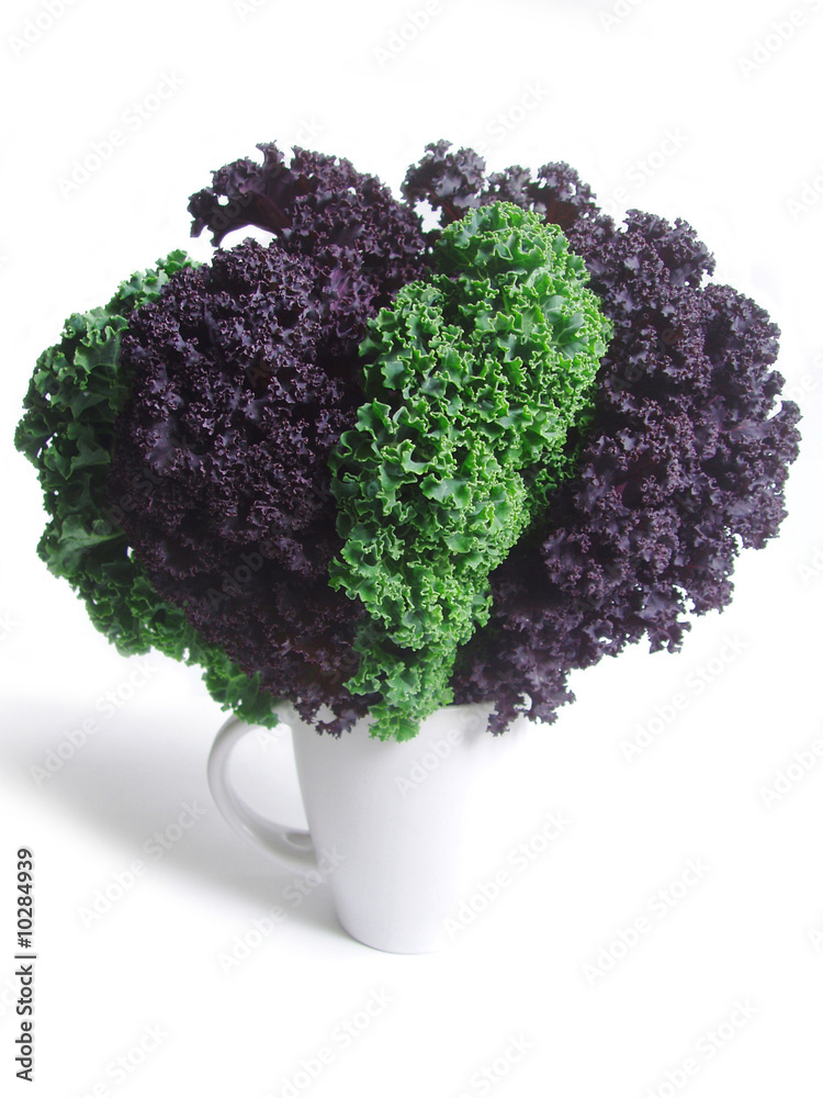 Wall mural curly kale