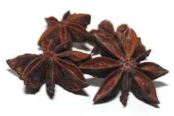 Sternanis