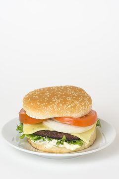 juicy hamburger meat lettuce tomato and onion mayonnaise