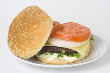 juicy hamburger meat lettuce tomato and onion mayonnaise