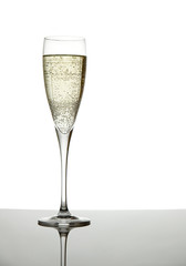 champagne glass isolated on white background