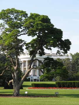 The White House Garden - Washington DC