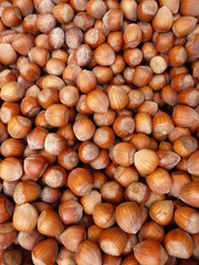 Noisettes - Nuts