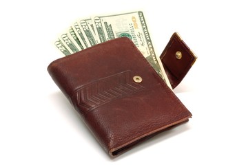 Purse and money