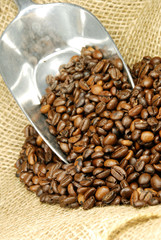 Kaffeebohnen [2]