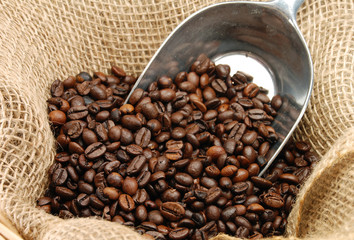 Kaffeebohnen [1]