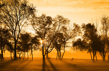 Early Morning Sun Light