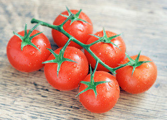 strauchtomaten