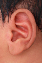 close-up of an ear of an infant