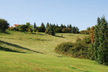 Obraz premium colline d'herbes et arbres