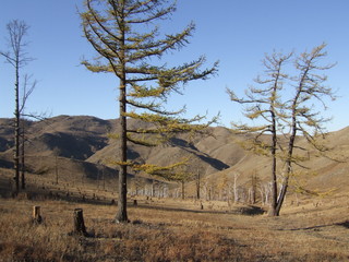 Mongolia