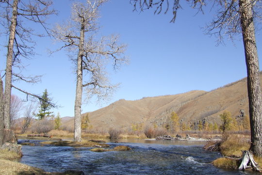 River in Mongolia