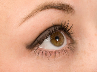 female wide open brown eye with long eyelashes macro