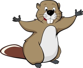 beaver