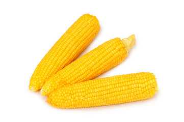 Corn cobs  isolated on the white background