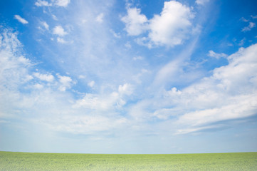 background of cloudy sky and grass