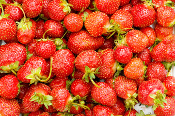 Lots of strawberries arranged as the background