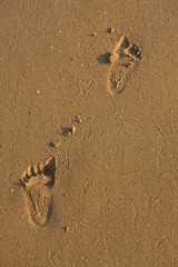texture series: footstep of baby on wet sea sand