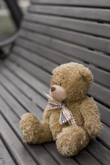 Teddy bear losted in the park