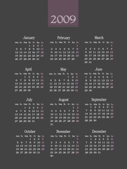Calendar 2009,gray and pink colors