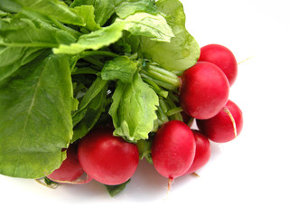 Radieschen
