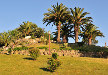 Fototapeta na wymiar Park with palms at Porto (Portugal) in summer.