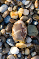 Fototapeta na wymiar color pebbles on a beach