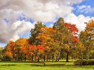Golden fall