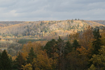 hills with dense forests Gauja national park in Latvia	