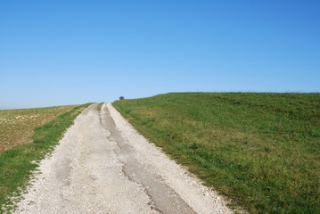 route communale et champ d'herbes