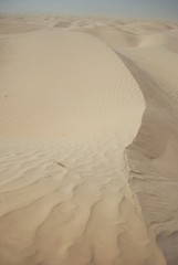 Obraz premium Dune de sable