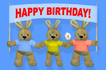HAPPY BIRTHDAY! HARES holding a sign with whatever you want!