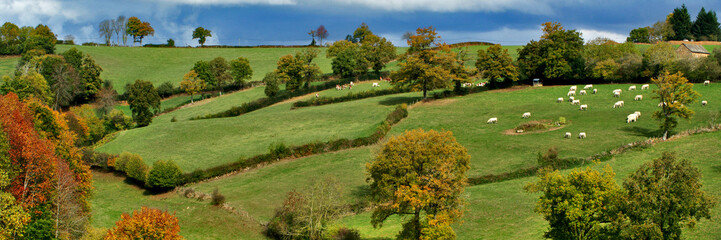 panorama de campagne