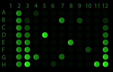 Typical medical diagnostic plate (ELISA)