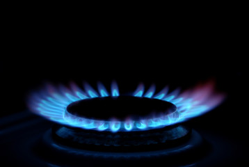 Blue gas stove