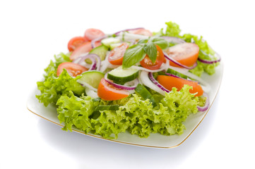Fresh salad with onion, tomato and basil