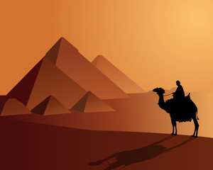 Bedouin aboard a camel near the pyramids