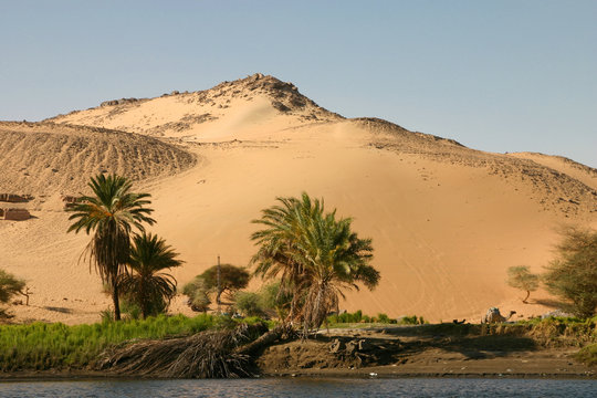 paysage du bord du Nil