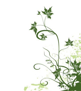 feuille de vigne grunge