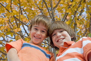 Fototapeta premium Brothers in the Fall