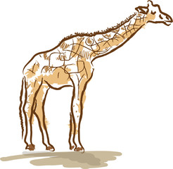 Giraffe