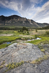 Fototapeta premium Landscape of Wyoming - Yellowstone Area.
