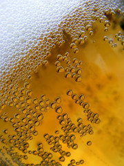 Beer - close up