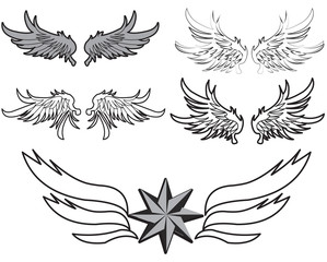 a set of feather wings illustration on the white background
